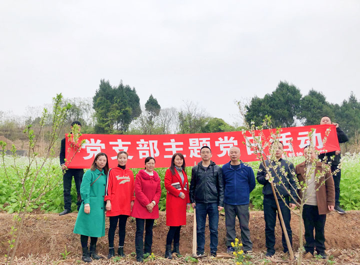 植树好时节，添绿正当时 我院开展植树主题党日活动